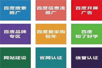 某企业通过SEO和SEM双管齐下实现业绩飞跃的案例